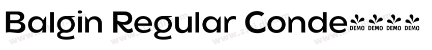 Balgin Regular Conde字体转换